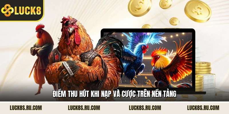 Điểm thu hút khi nạp và cược trên nền tảng