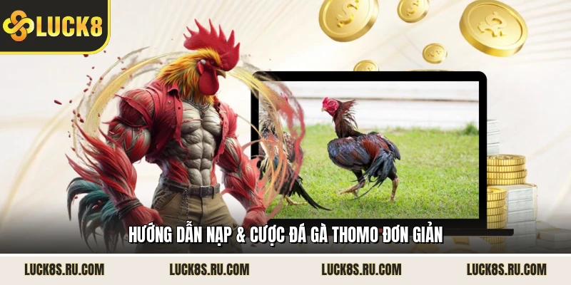 Hướng dẫn nạp & cược đá gà Thomo đơn giản