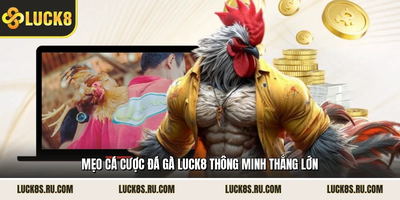 Mẹo cá cược đá gà LUCK8 thông minh thắng lớn