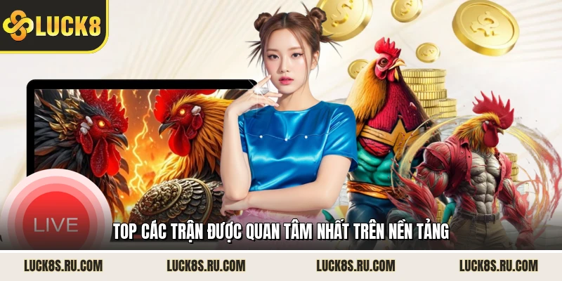 Top các trận được quan tâm nhất trên nền tảng